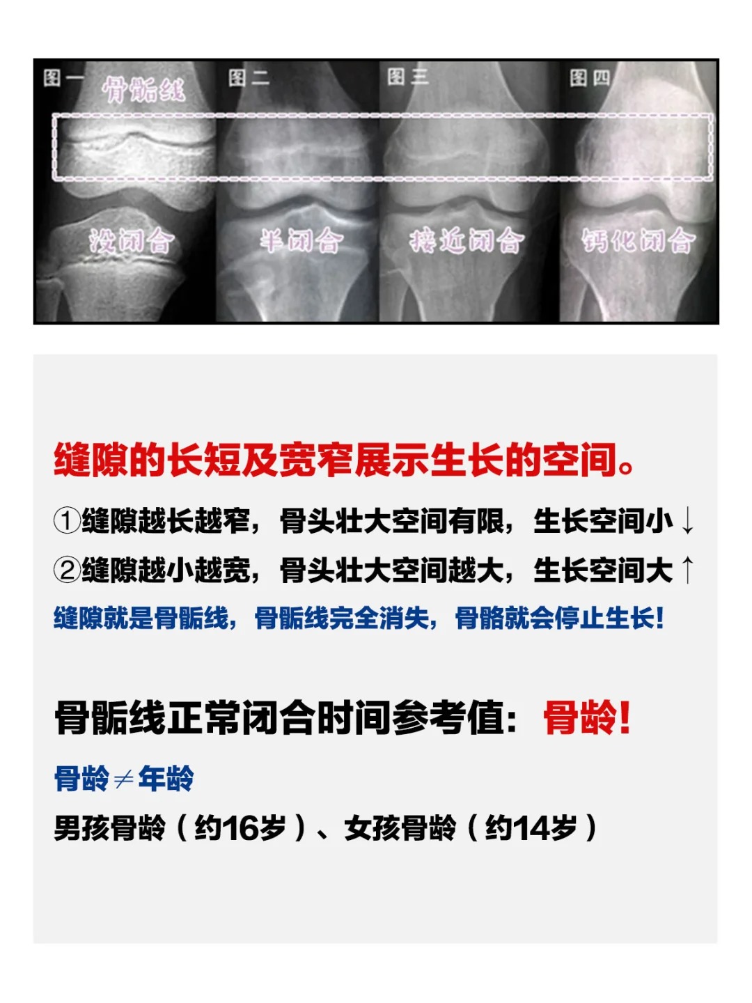 2025年12月10日 第8页