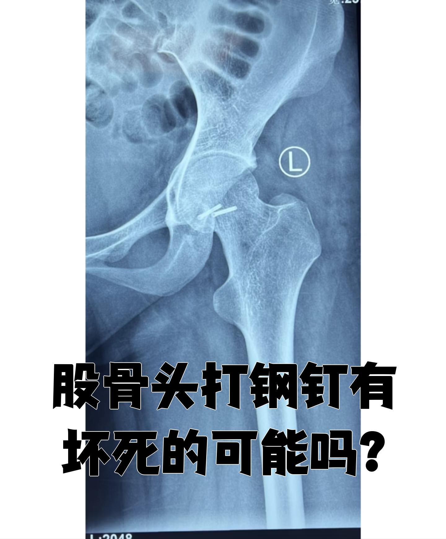 2025年12月10日 第6页