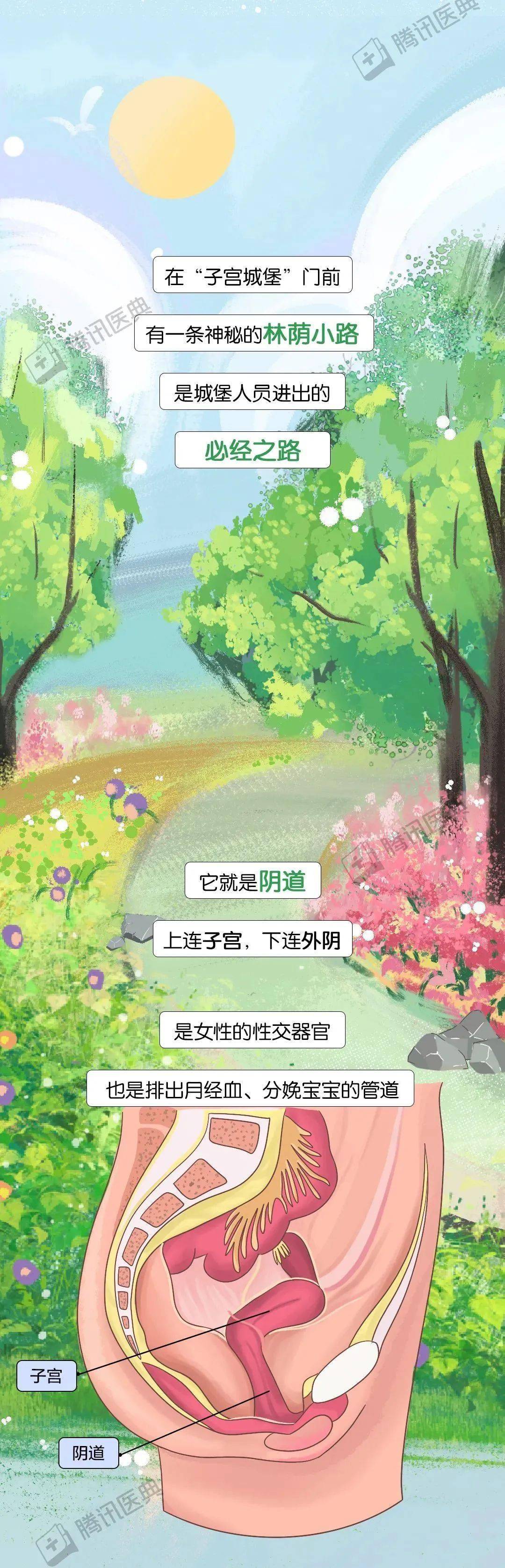 你确定处女膜是在十厘米的地方吗