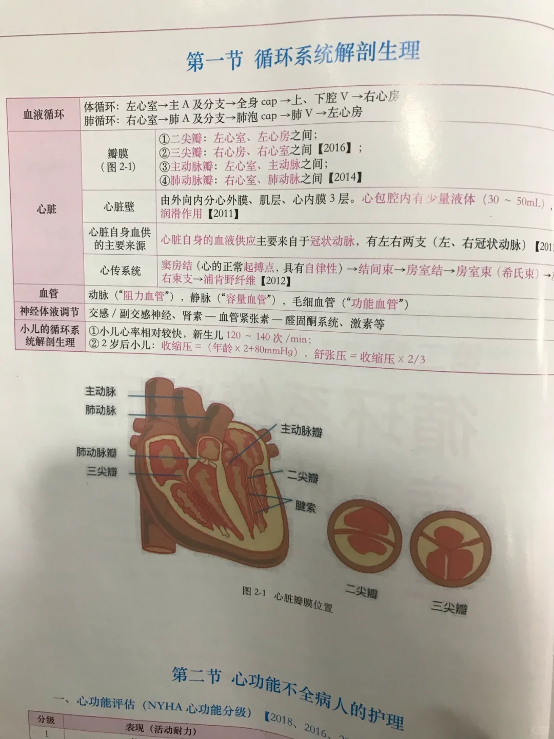 什么是左心室高电压