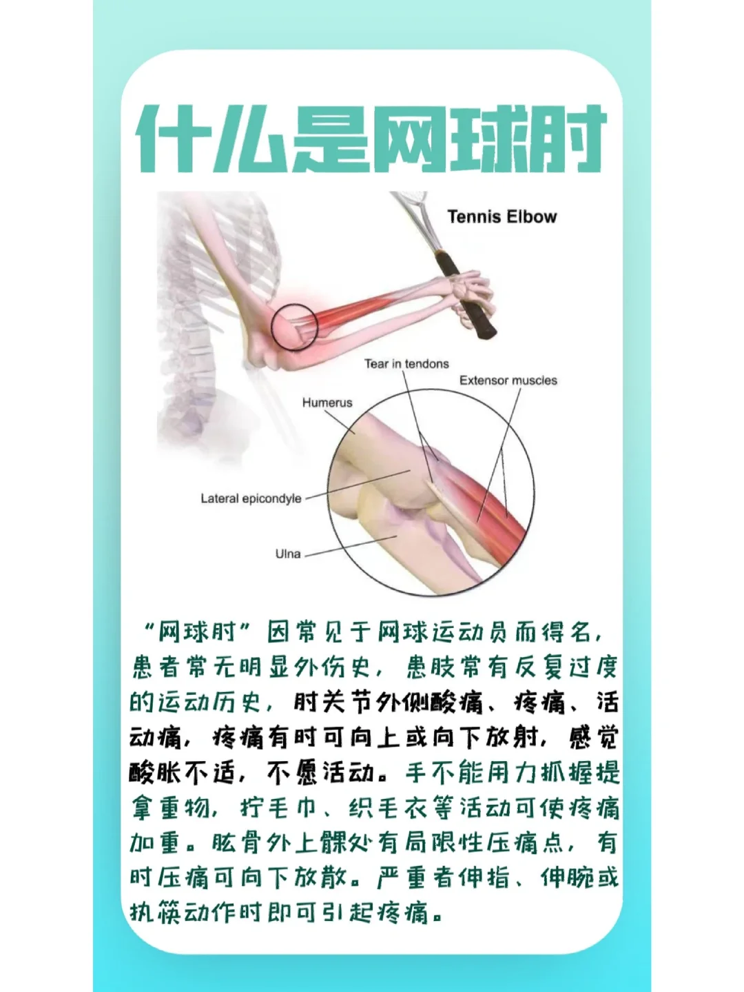 2025年12月11日 第24页