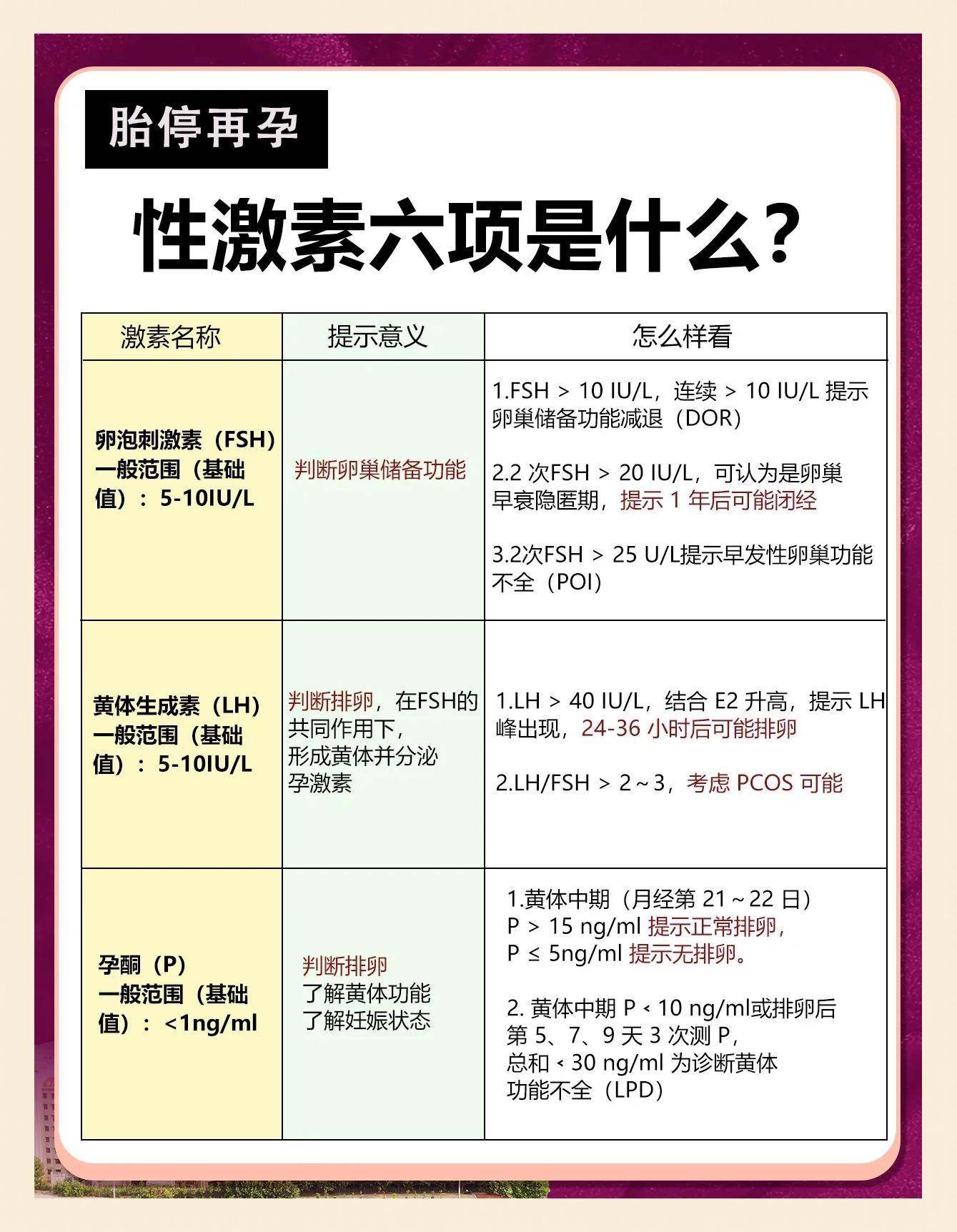 2025年12月11日 第20页