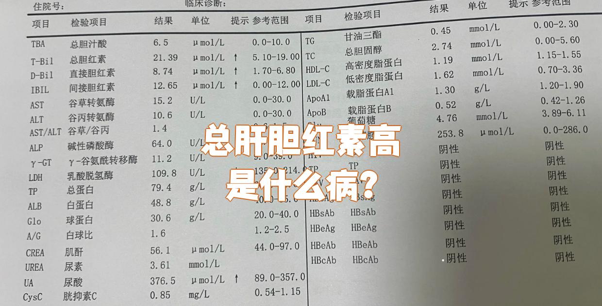 总胆红素高怎么回事