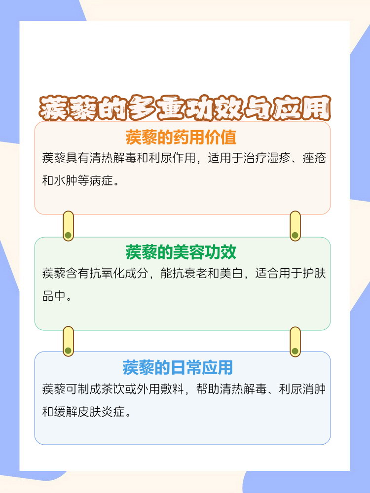 蒺藜的作用功效是什么?