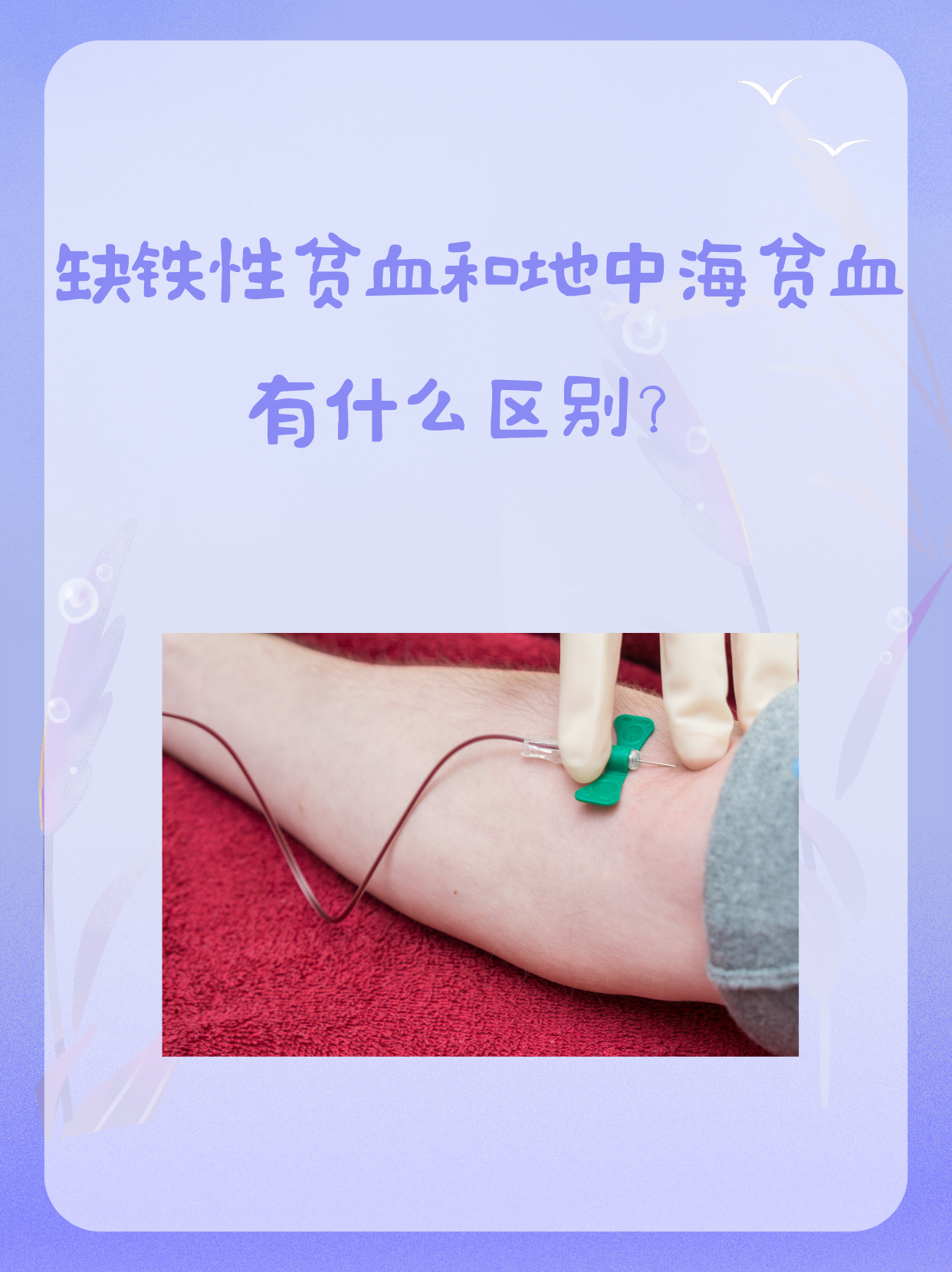 2025年12月11日 第9页