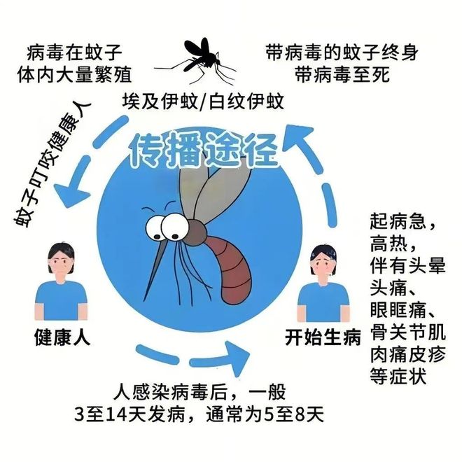 登革热会传染人吗