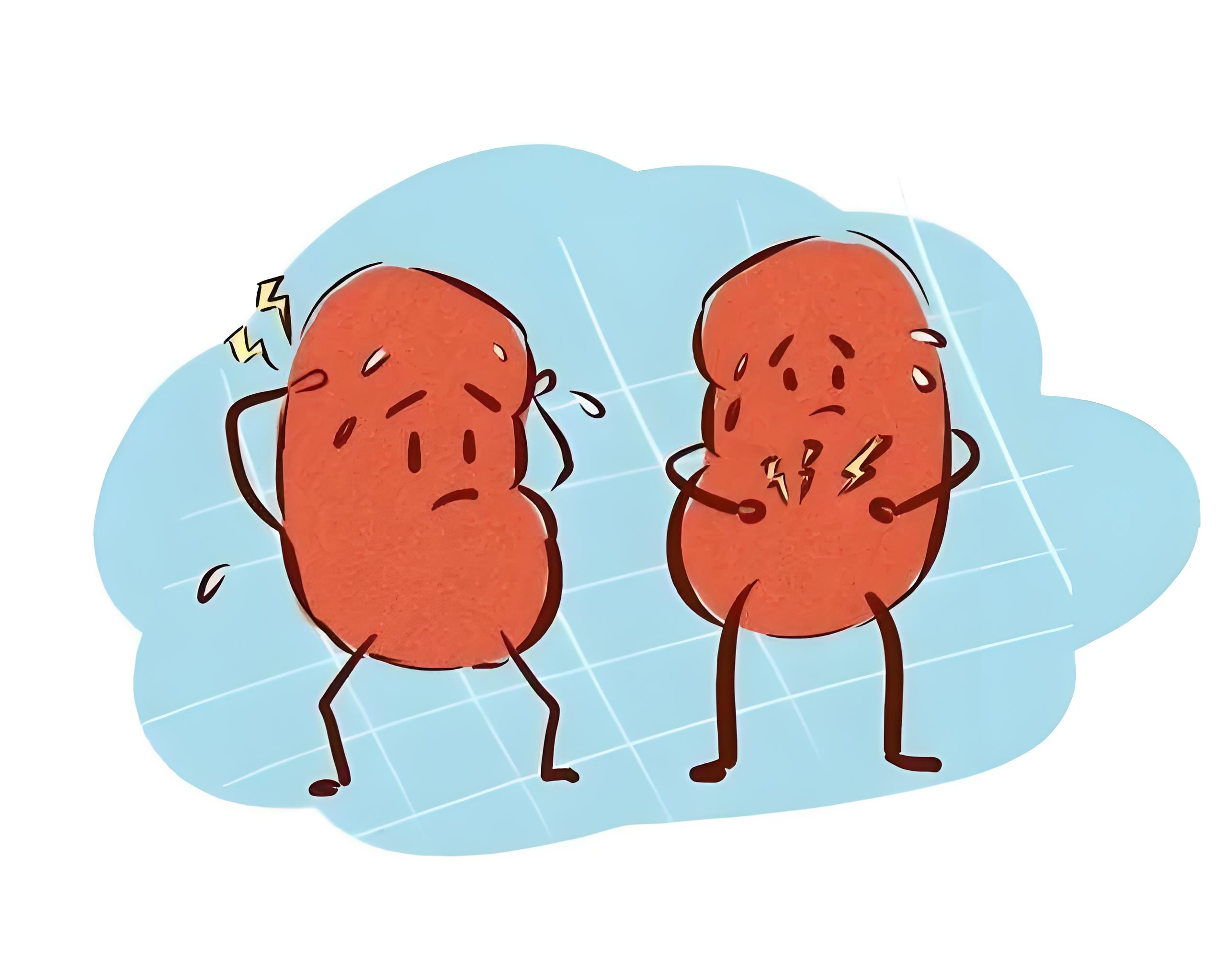 慢性肾病五期严重吗