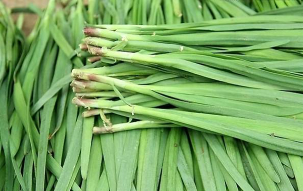 2025年12月11日 第4页