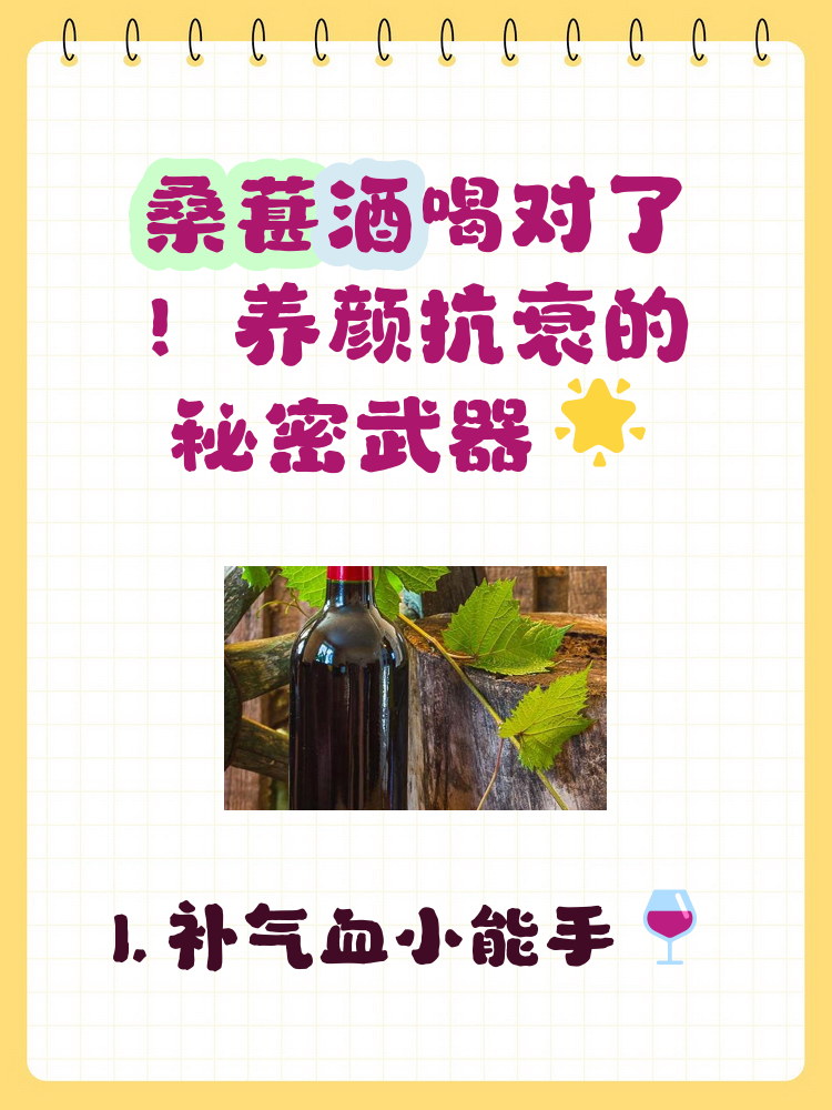 桑葚酒的功效与作用