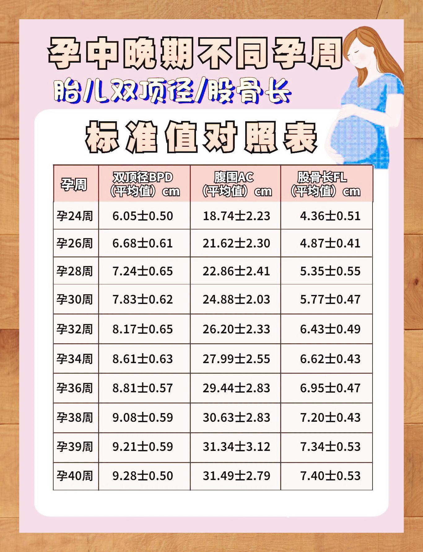 胎儿双顶径是什么意思