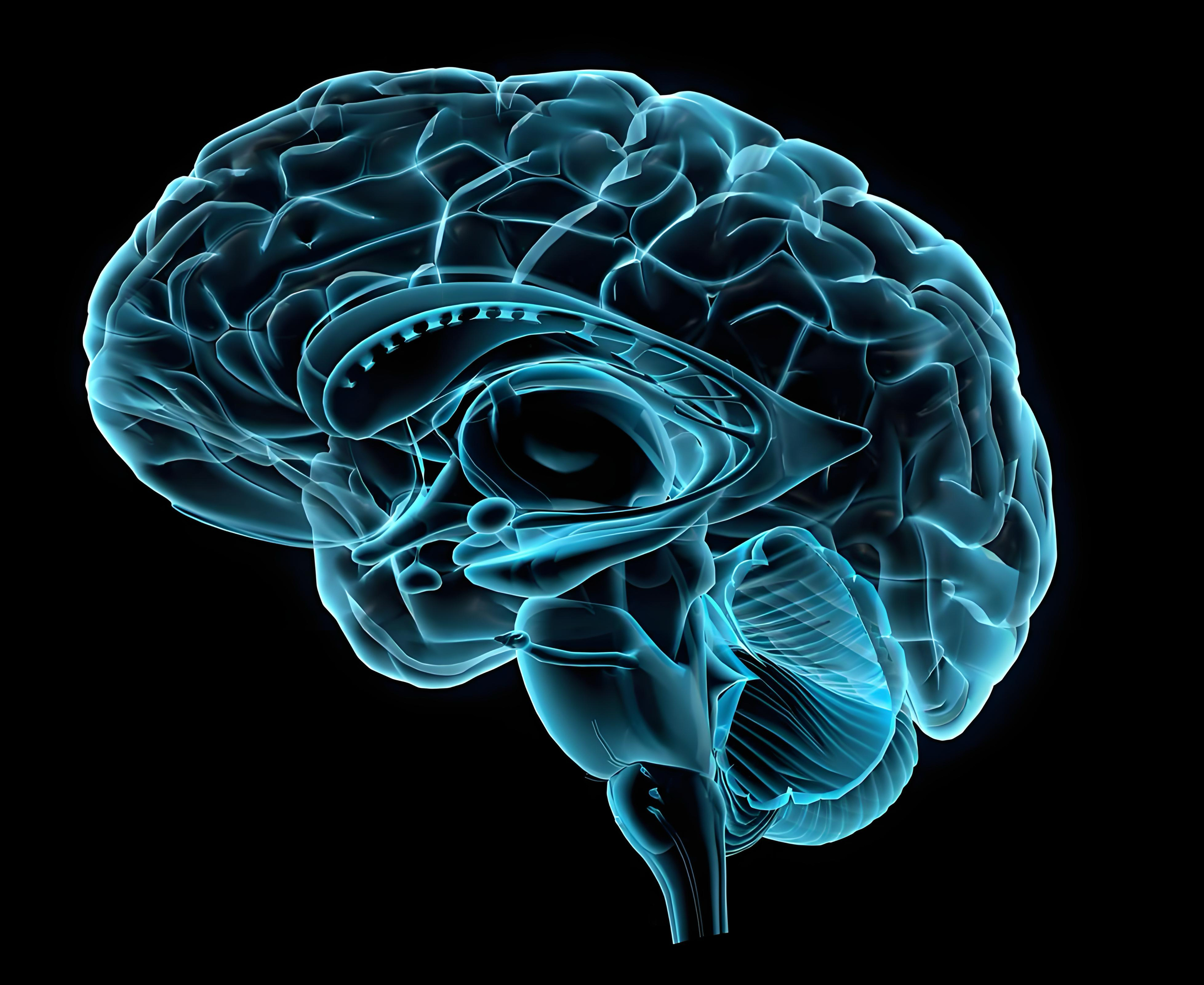 什么是颞叶癫痫