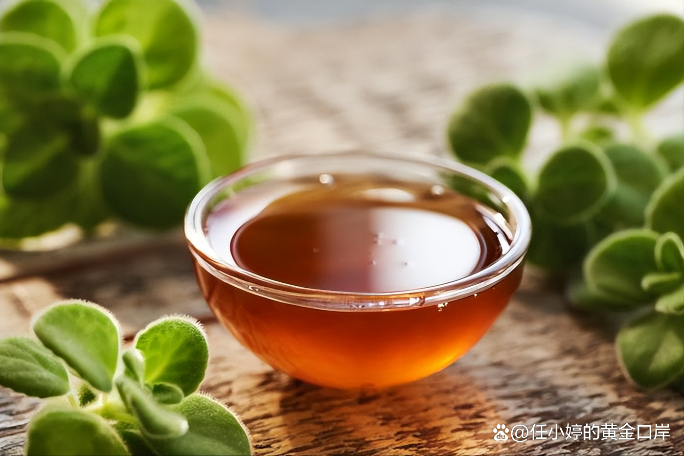 脾胃虚寒喝什么茶好