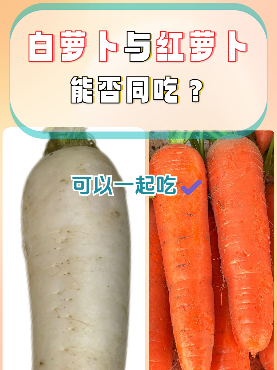 孕妇能吃萝卜吗