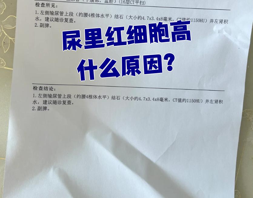 红细胞高会导致什么病