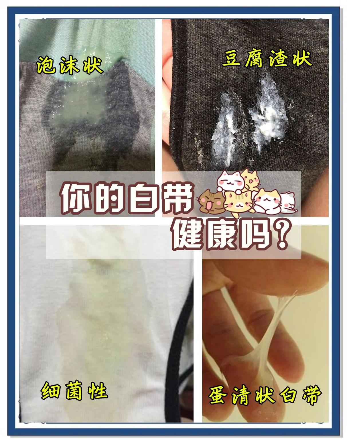 2025年12月12日 第3页