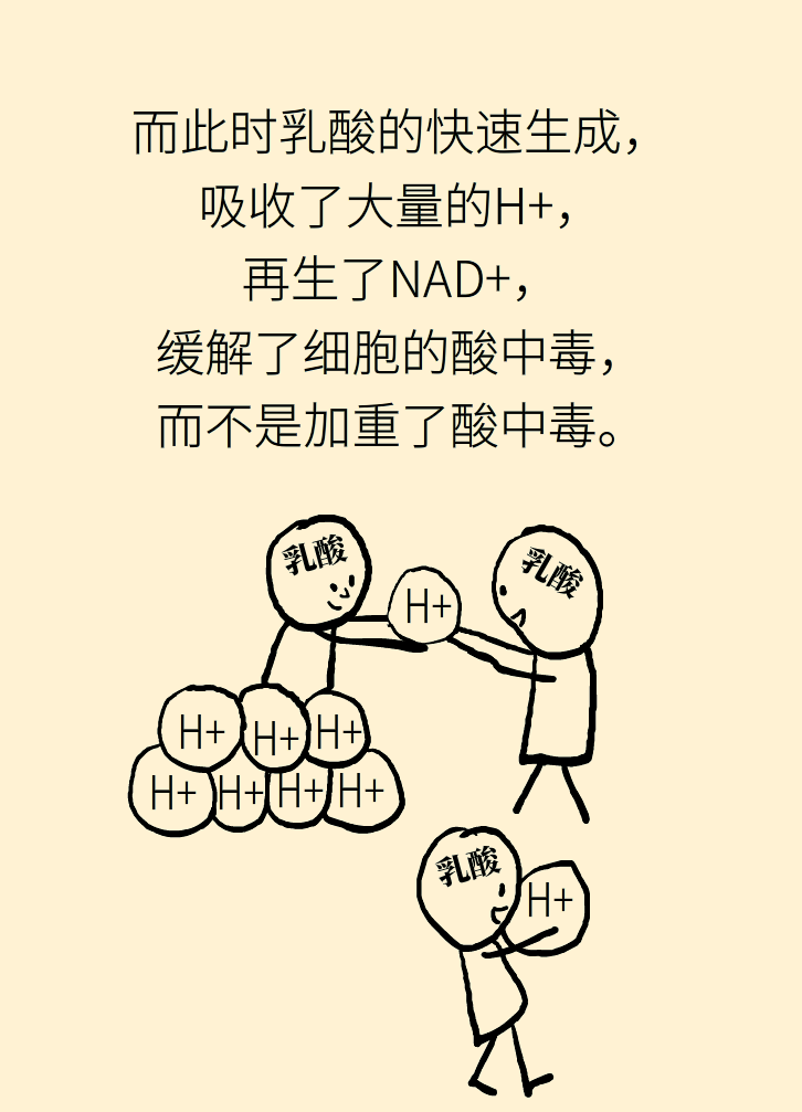 什么是乳酸酸中毒?