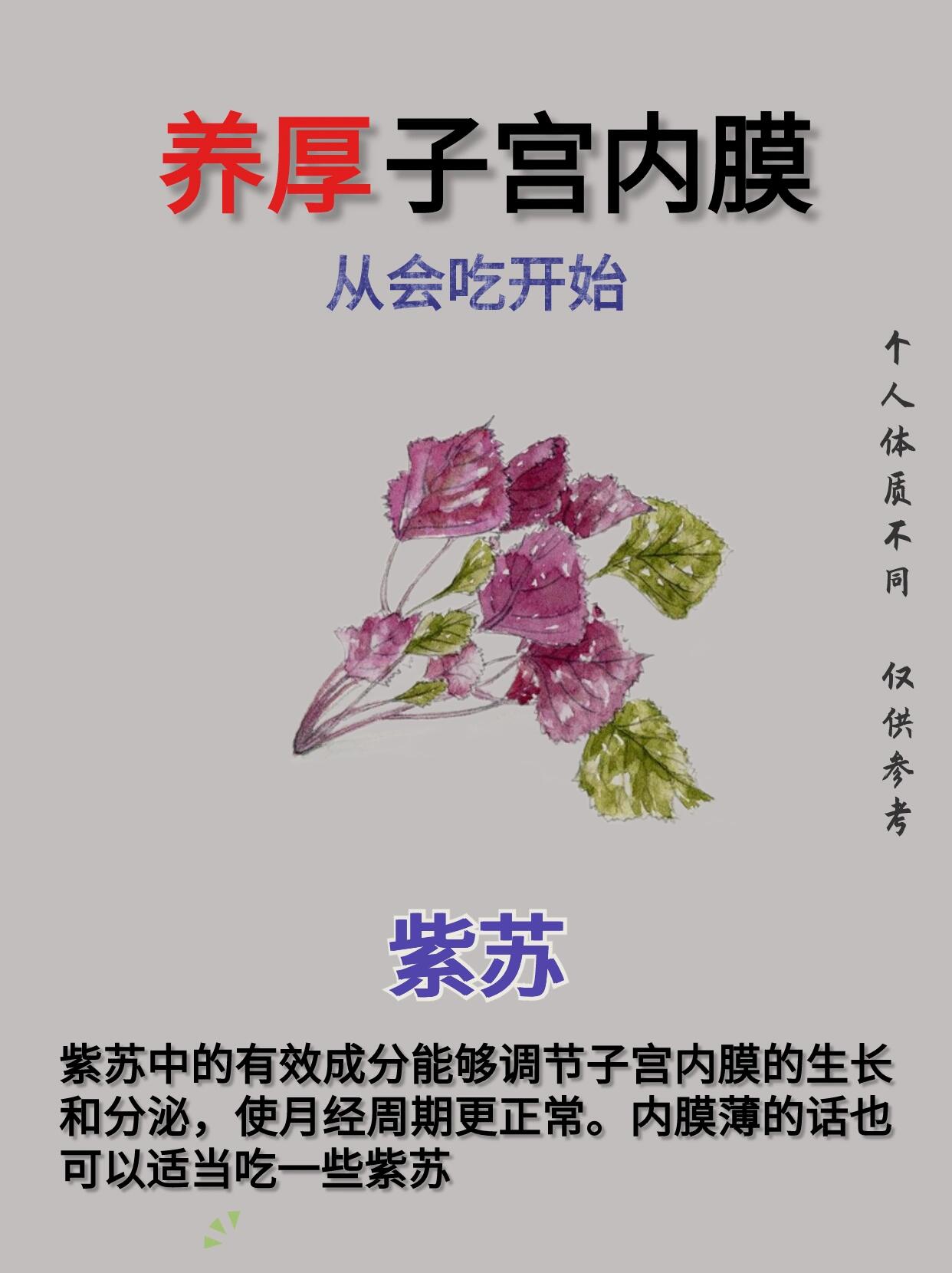 子宫内膜薄怎么食补