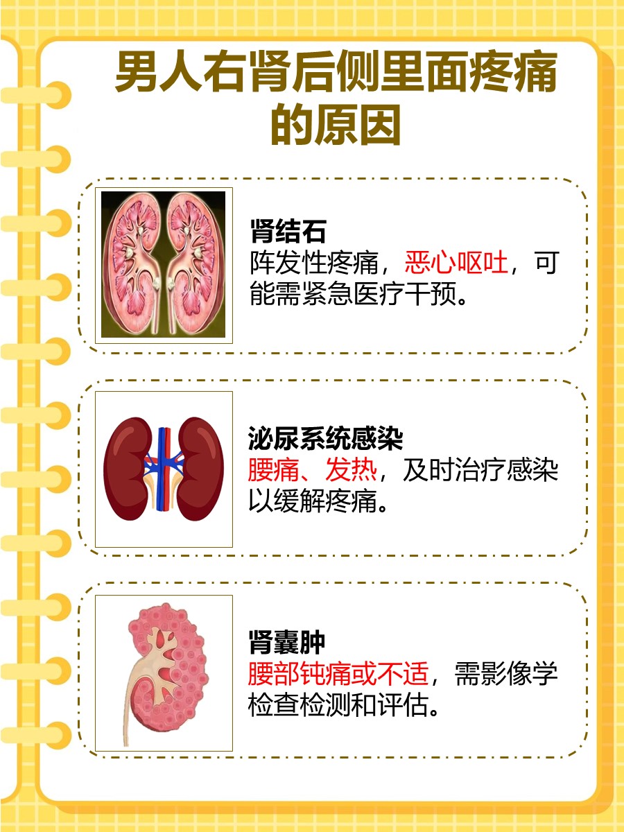 慢性肾盂肾炎的表现