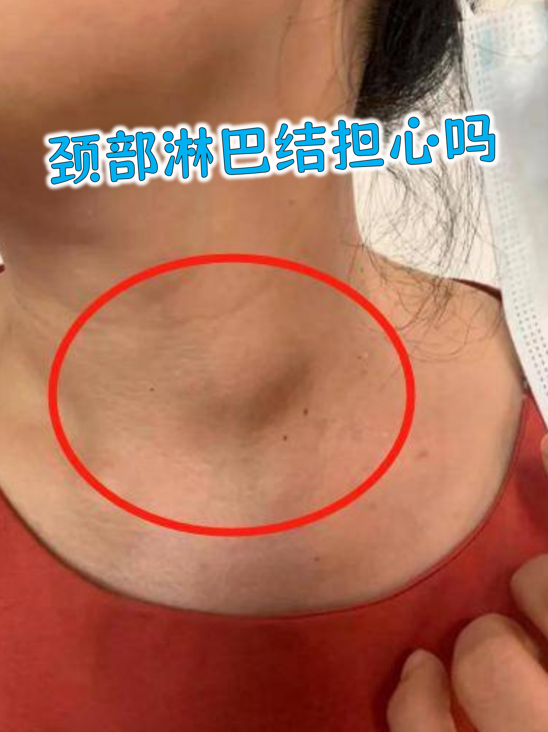 2025年12月13日 第20页