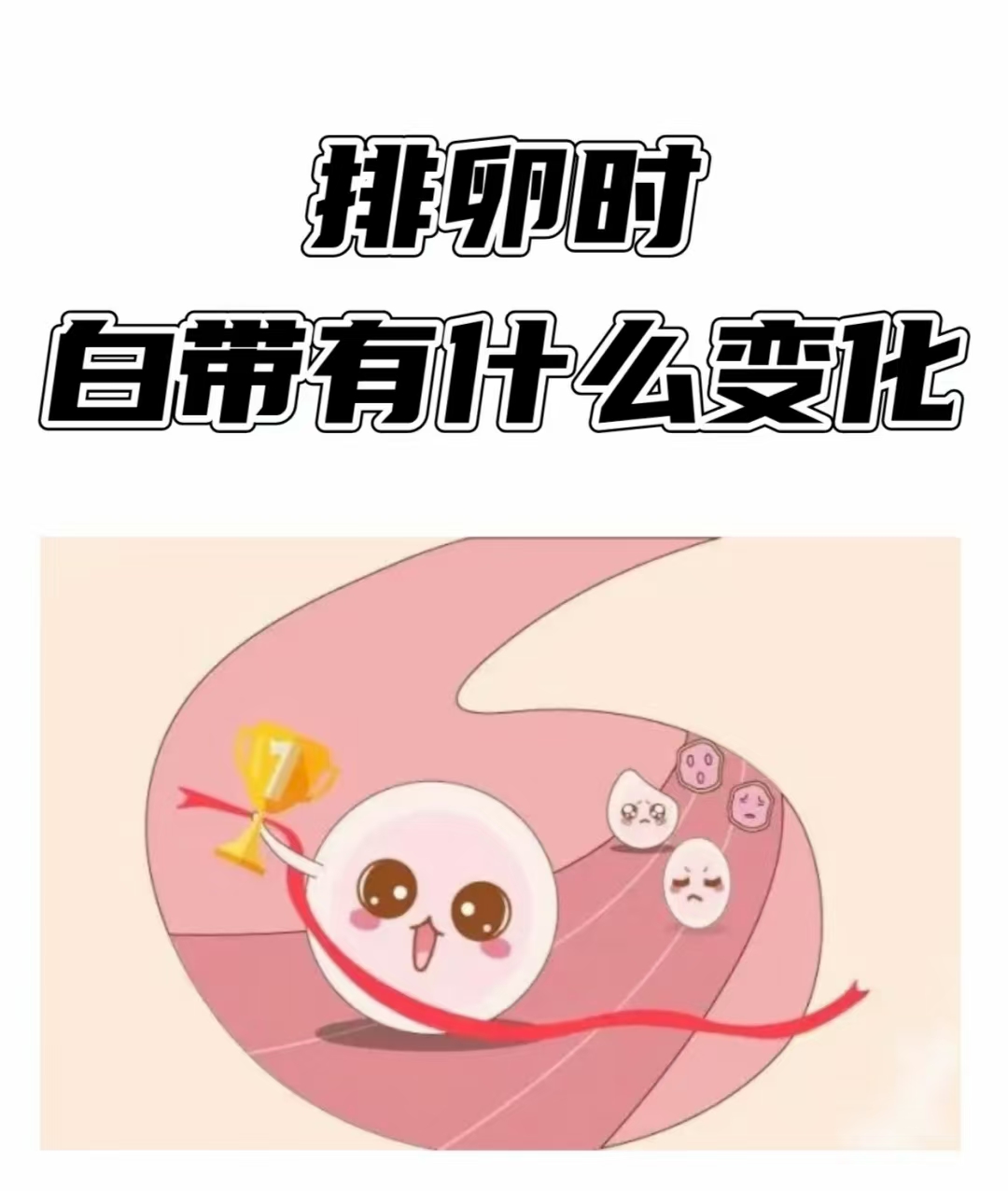 都市日报 第16页