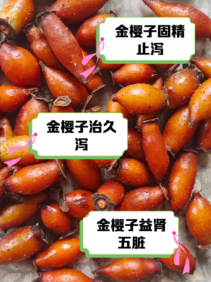 金樱子的作用与功效