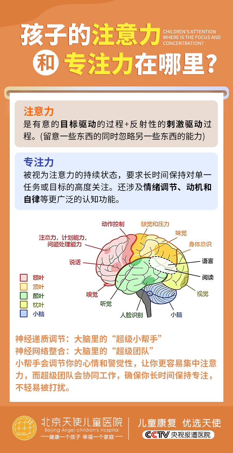 如何缓解大脑神经紧绷
