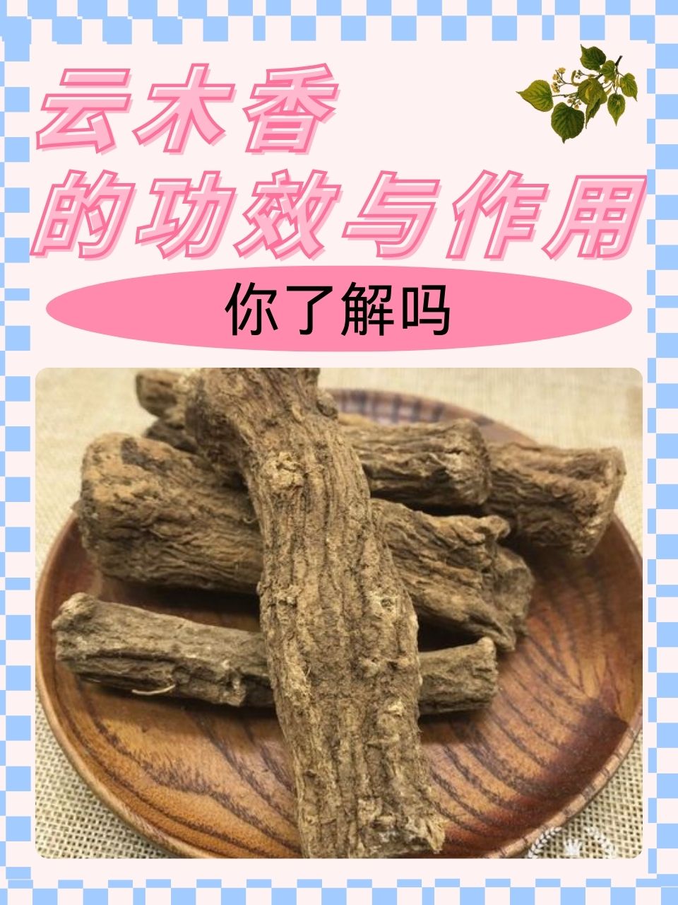 木香的功效与作用