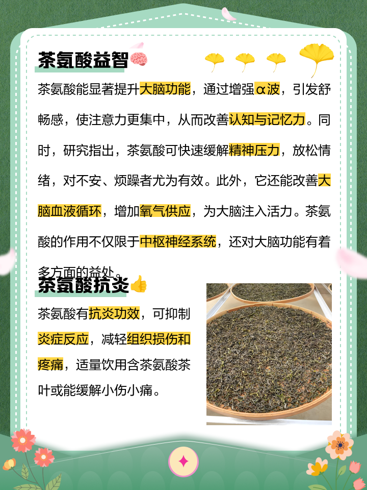 氨茶碱的副作用