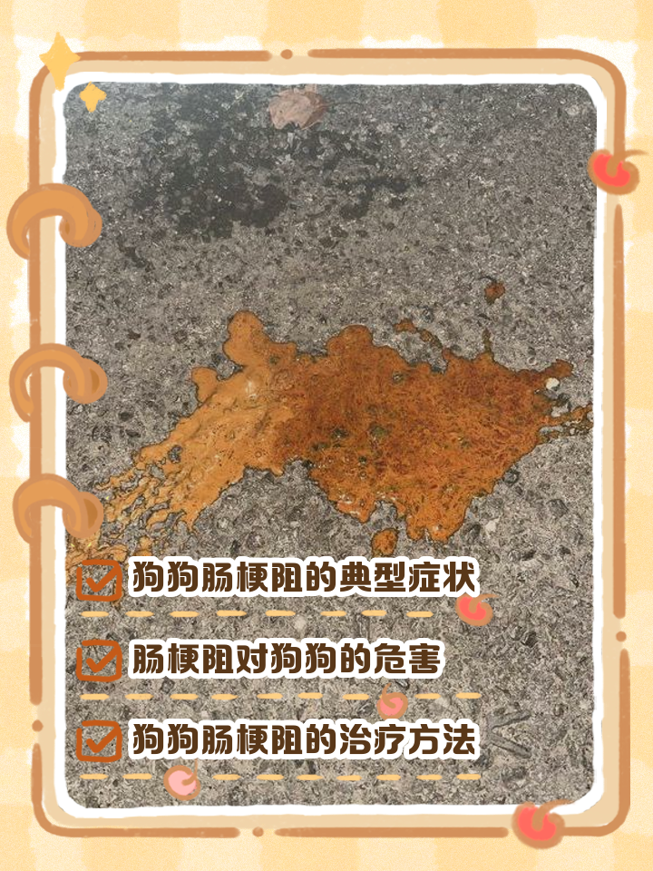 肠梗阻的临床表现