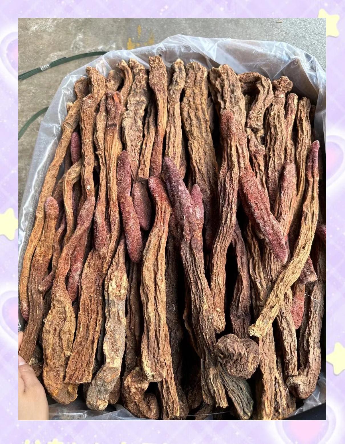 2025年12月13日 第14页