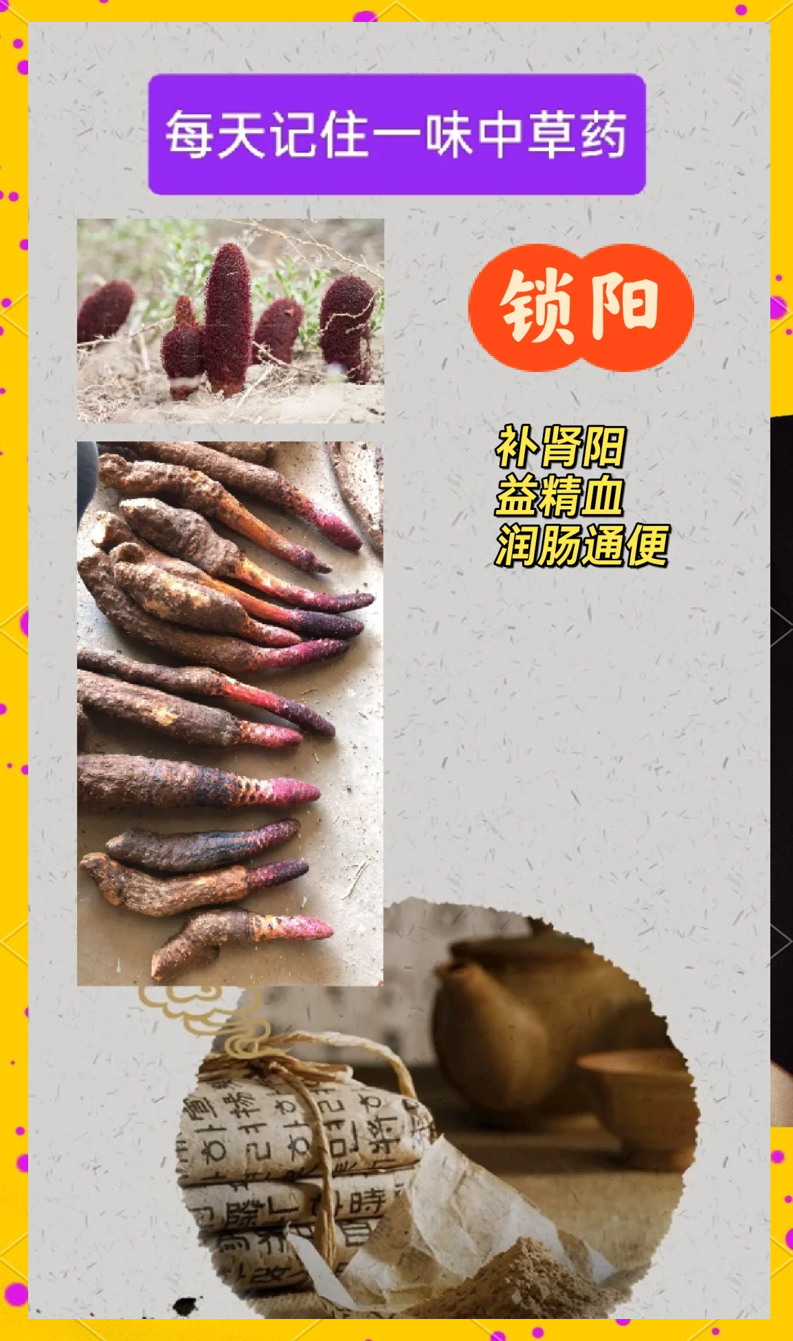 中药锁阳的功效和作用