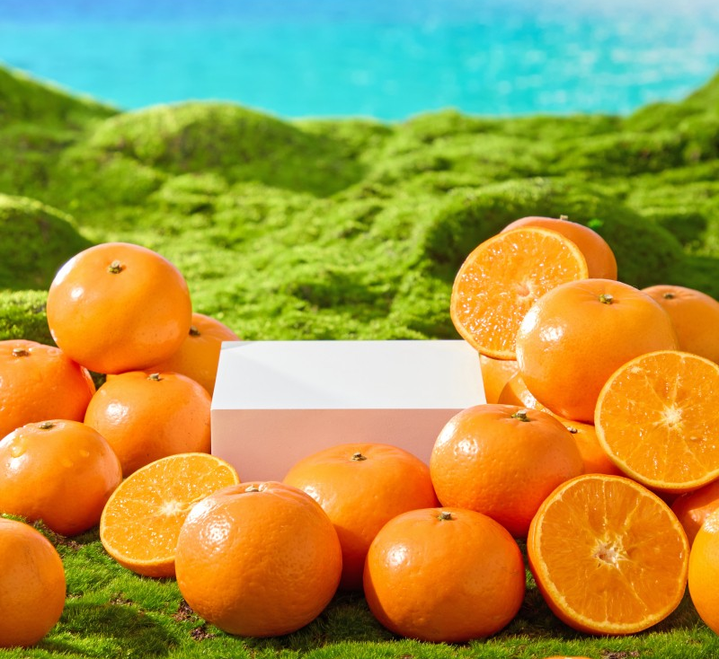 怀孕初期能吃橘子吗