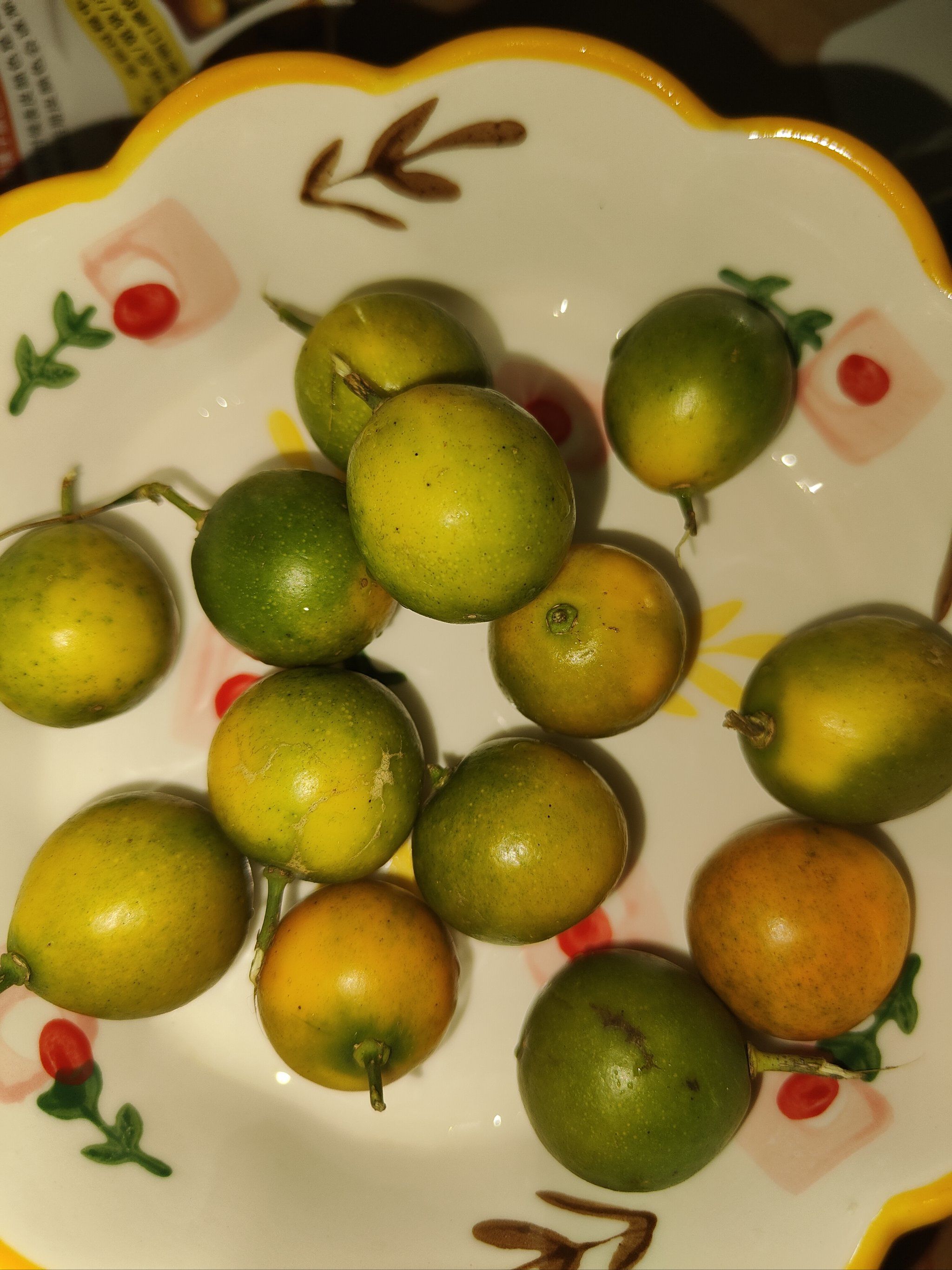 怀孕初期能吃橘子吗