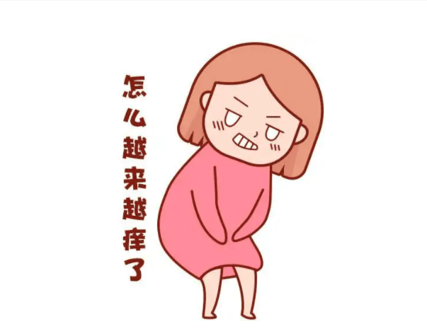 孕期外阴瘙痒怎么办