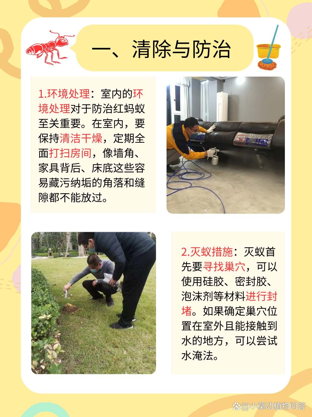 被蚂蚁咬了怎么止痒消肿