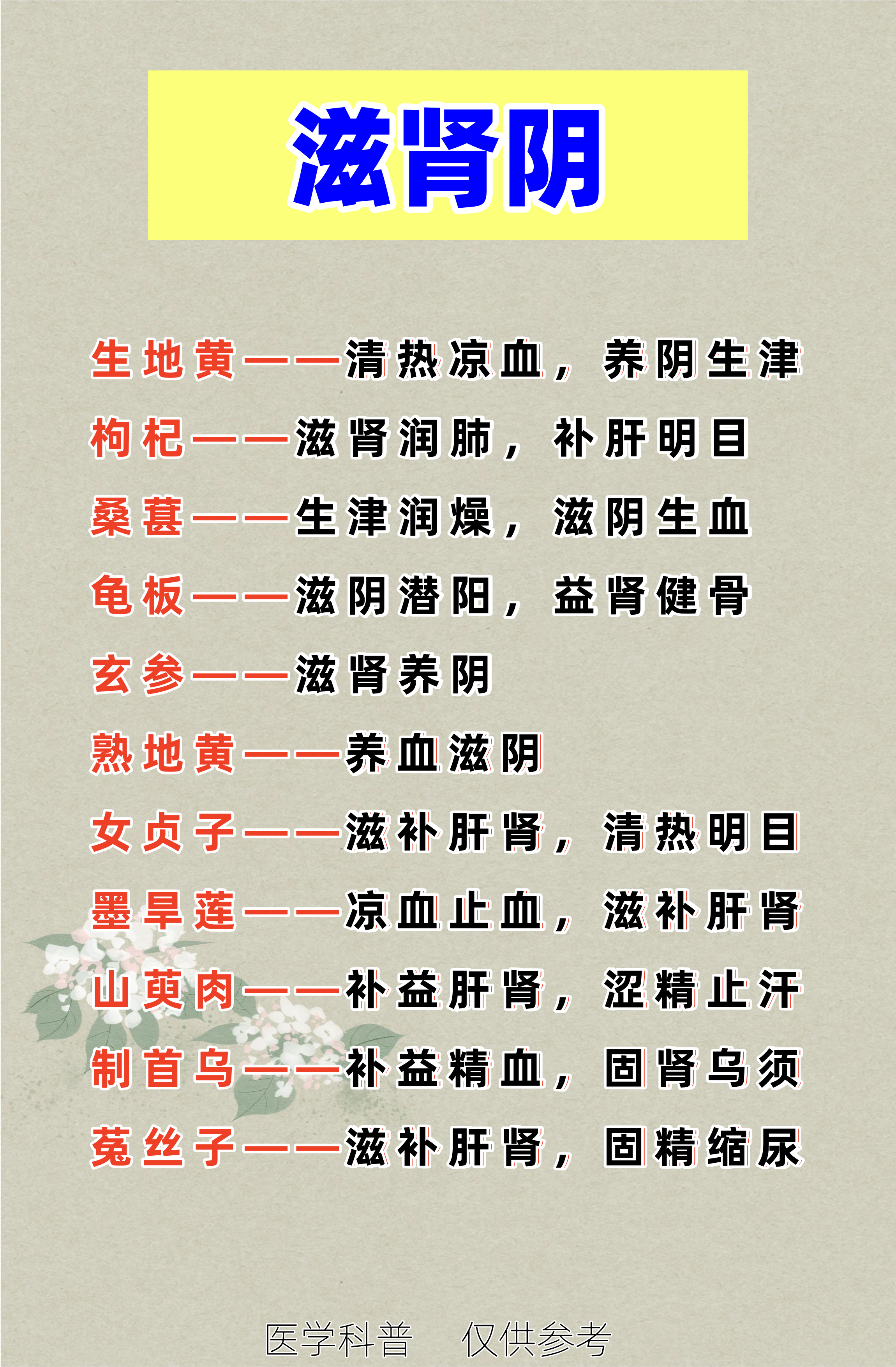 阴虚阳虚脾虚湿热?中药方成分?