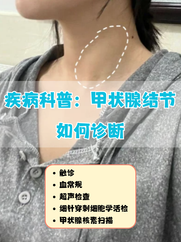 2025年12月14日 第33页