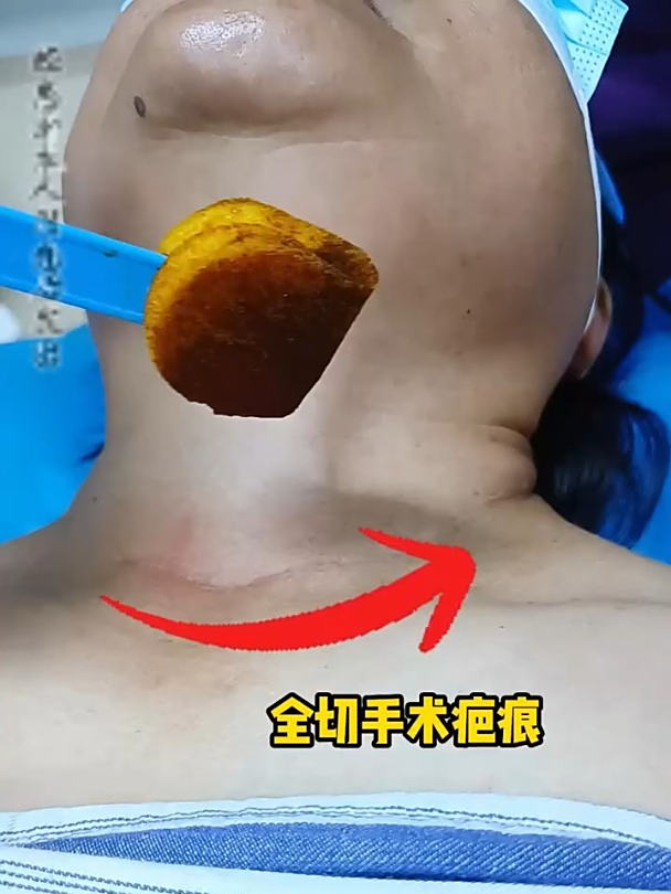 2025年12月14日 第31页