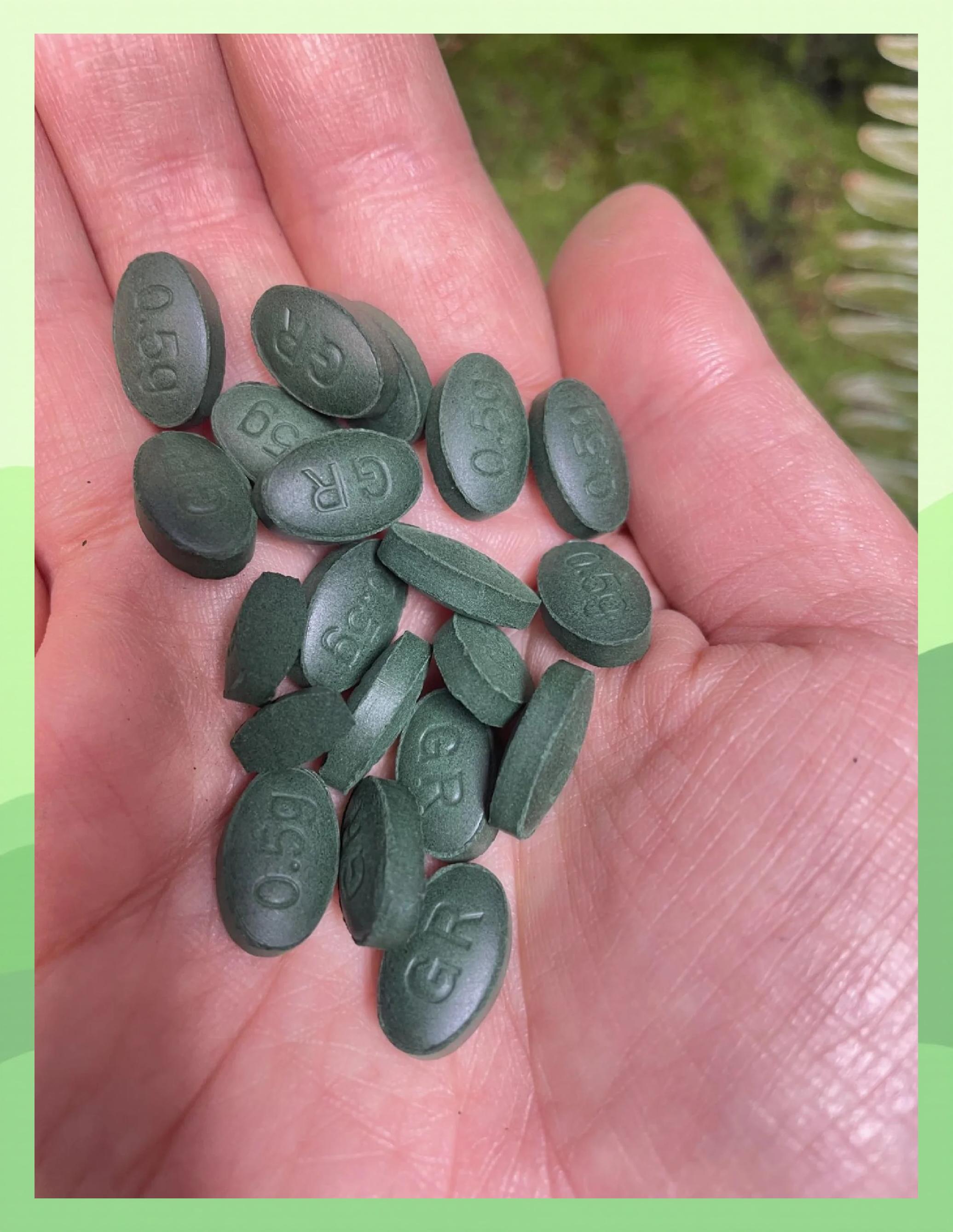 螺旋藻有减肥功效吗