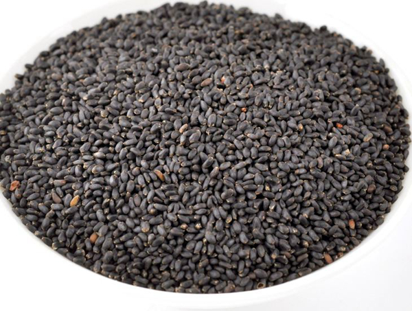 请问兰香子致癌吗?