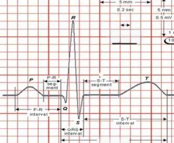 国际视野 第10页
