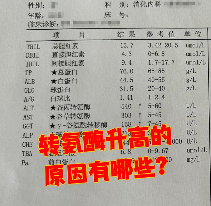 谷丙转氨酶高就是肝炎吗