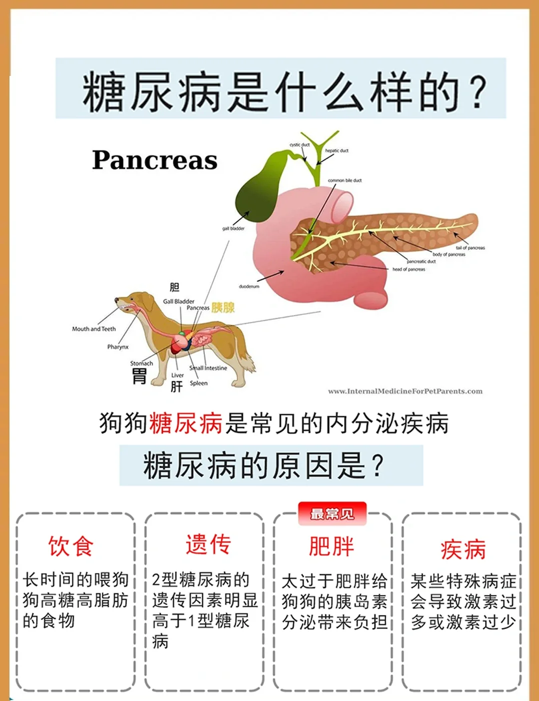 糖尿病治疗的方法