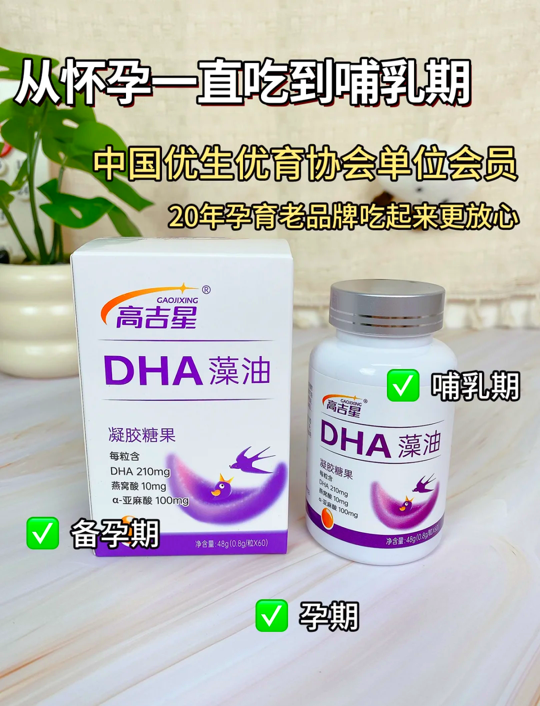 孕妇有必要吃dha吗