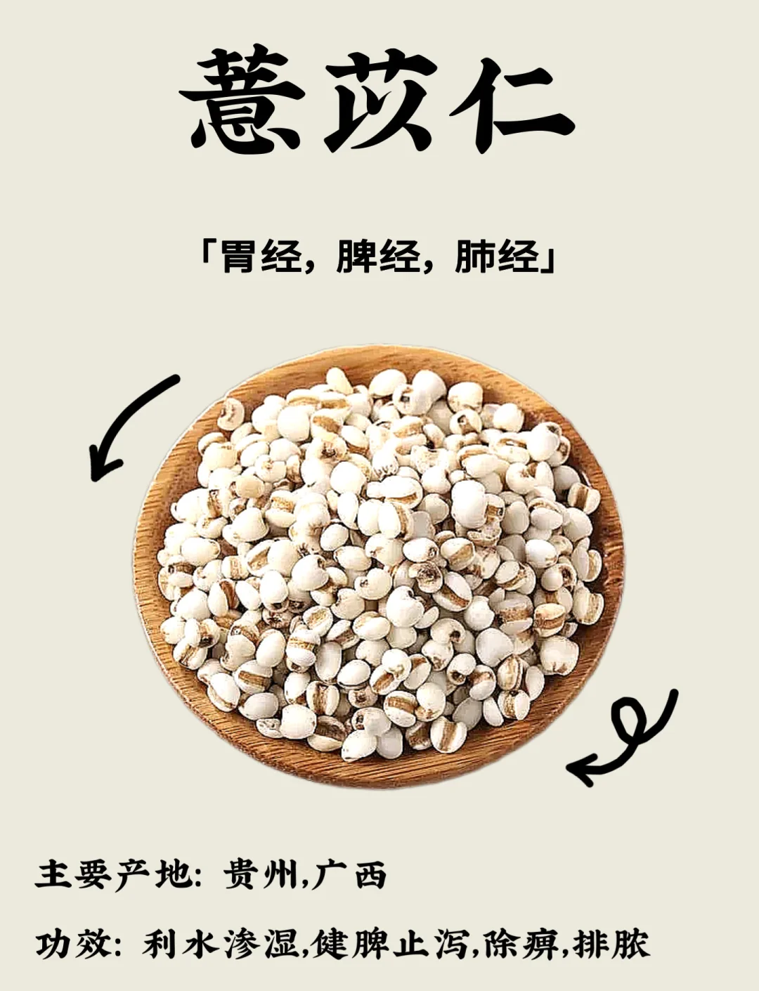 薏仁的功效与作用