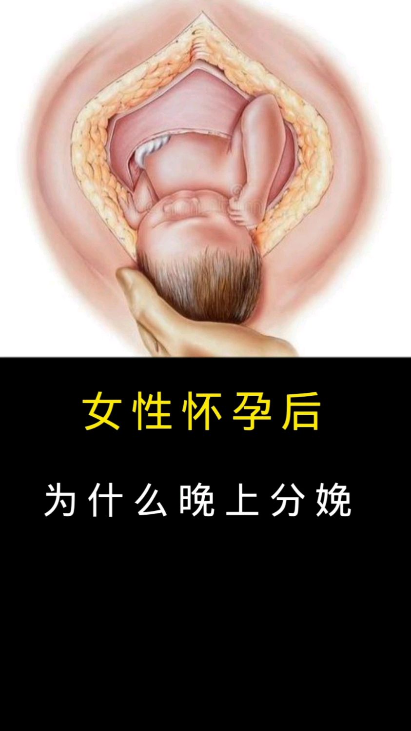 顺产后多久可以在怀孕
