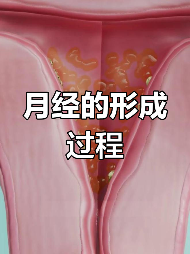 大姨妈什么意思