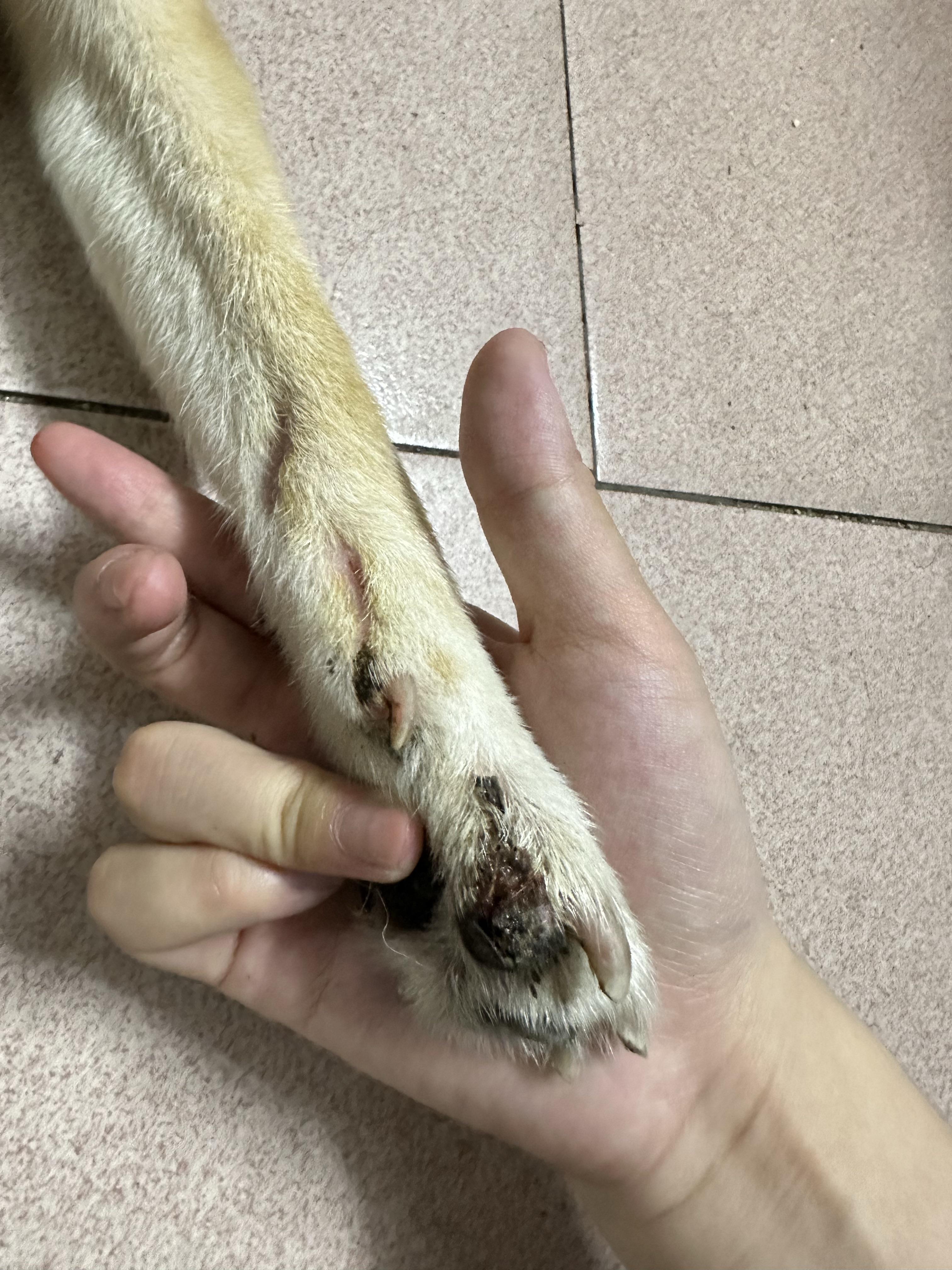 都市视野 第9页