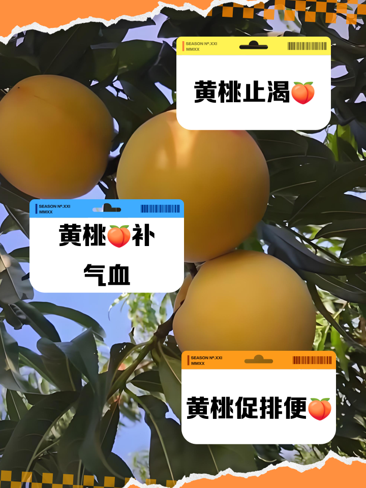 孕妇可以吃黄桃吗