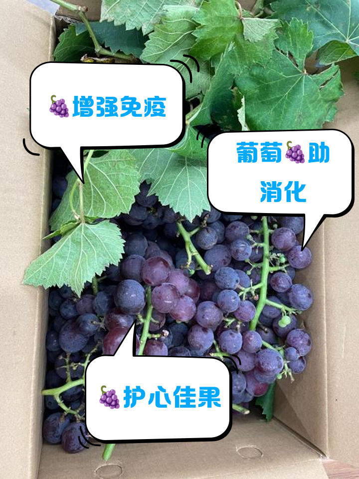 来大姨妈可以吃葡萄吗